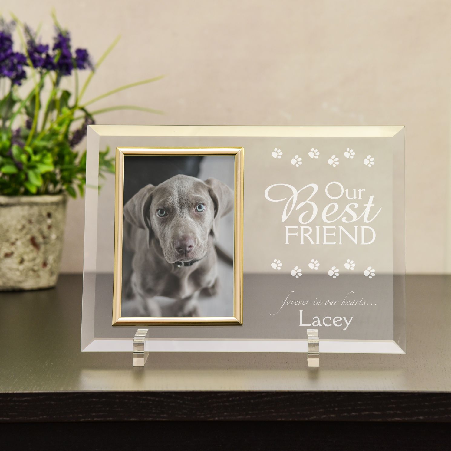 Our Best Friend Pet Frame